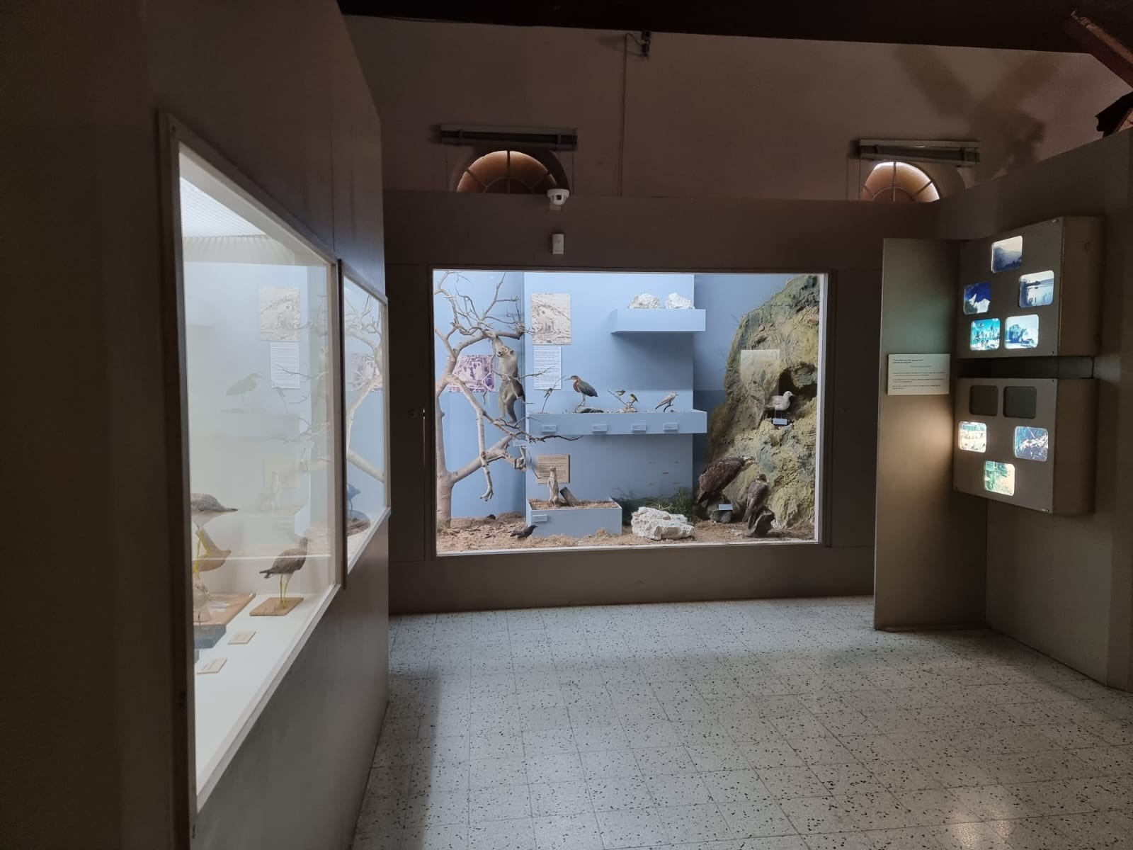 WhatsApp Image 2021-12-13 at 9.33.28 AM (2)